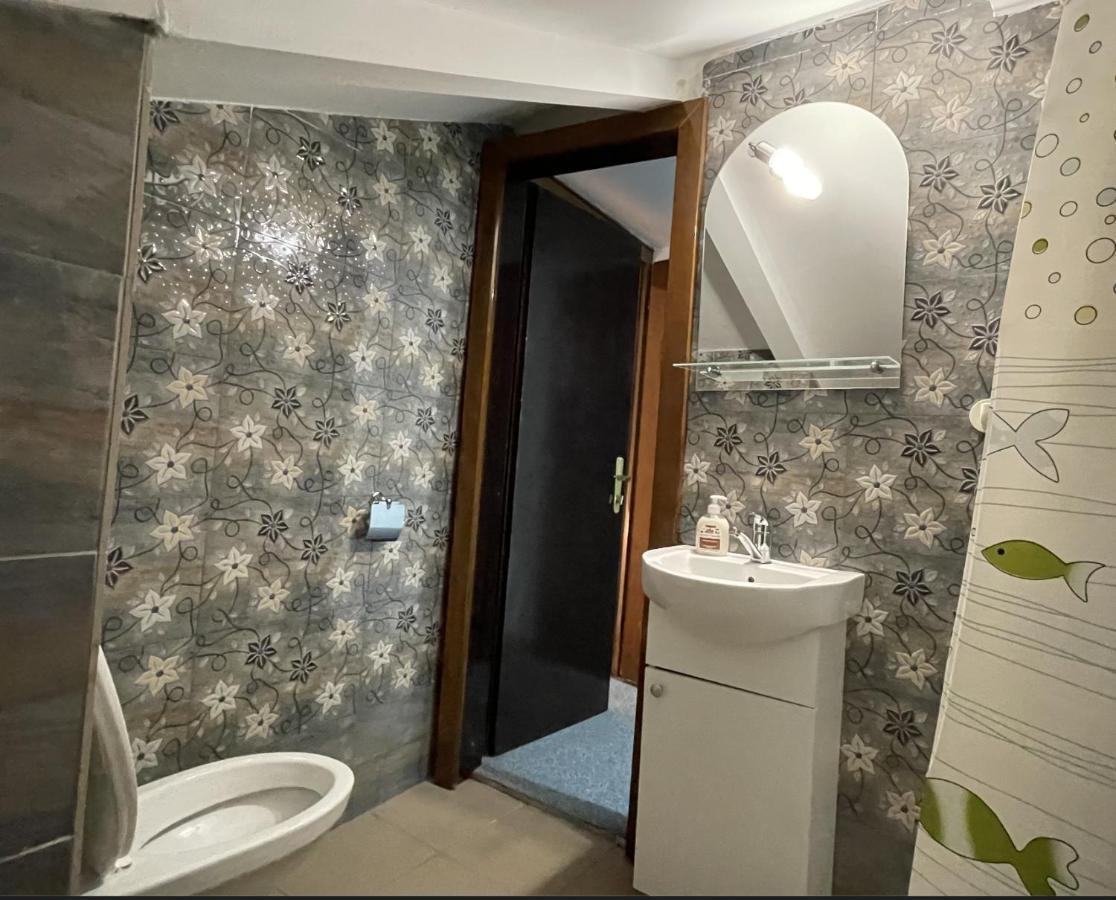 Z House Apartment Sibiu Bagian luar foto