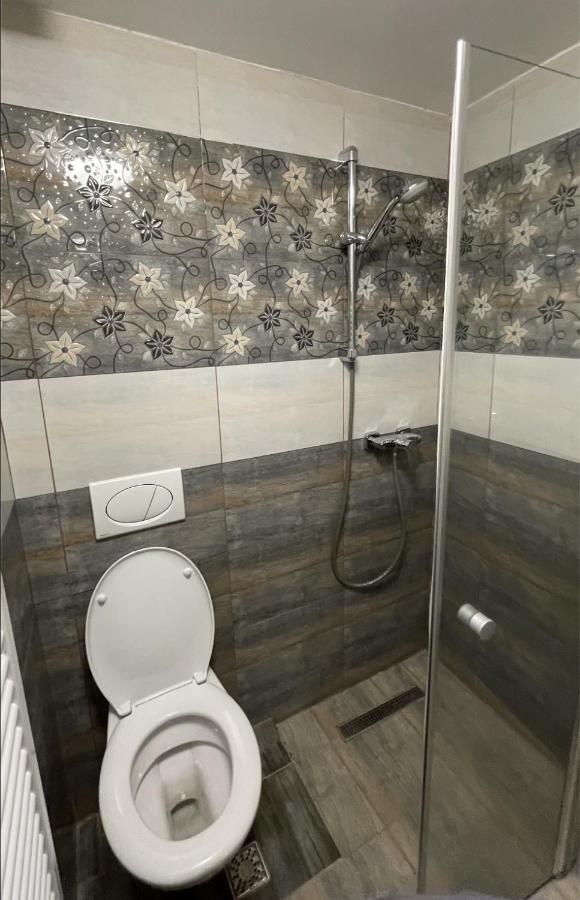 Z House Apartment Sibiu Bagian luar foto